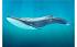 Фигурка - Голубой кит, размер 27 х 10 х 5 см.  - миниатюра №2
